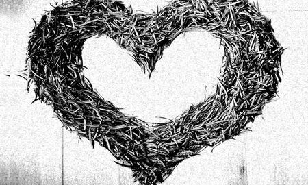 Herz aus Stroh © Frank Wollmann