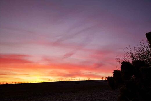 Abendrot © Frank Wollmann