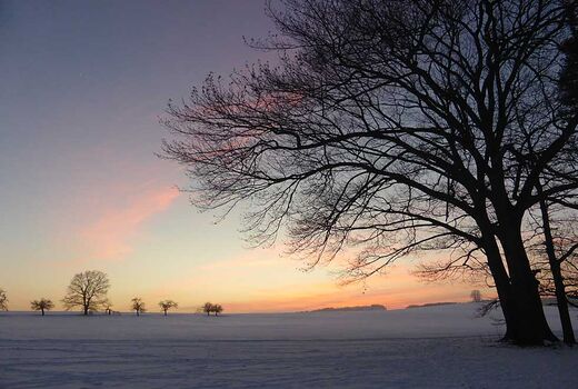 schöne Winterlandschaft © Frank Wollmann