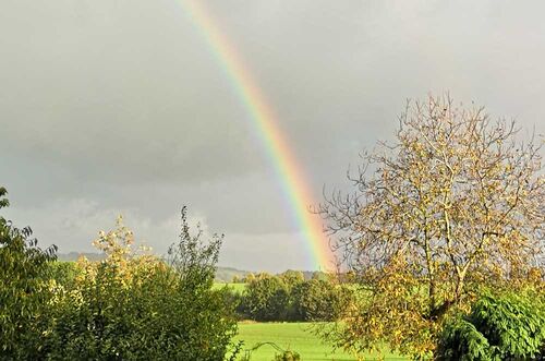 Regenbogen © Frank Wollmann