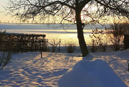 Lichtstimmung in einer Schneelandschaft © Frank Wollmann