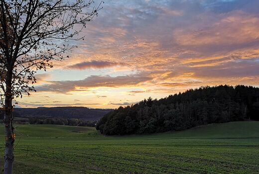 Landschaft mit Abendrot © Frank Wollmann