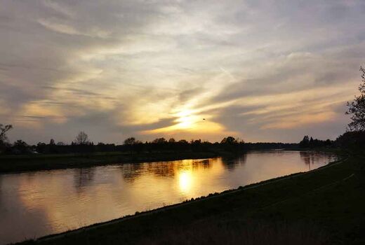 Elbe bei Dresden © Frank Wollmann