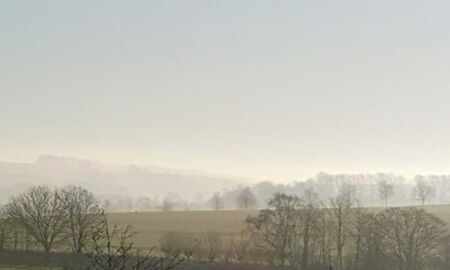 Landschaft im Nebel © Frank Wollmann