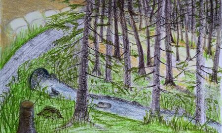 Zeichnung Wald © Frank Wollmann
