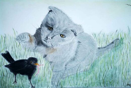 Katze und Vogel © Frank Wollmann