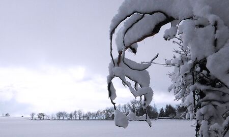 Schneelandschaft © Frank Wollmann