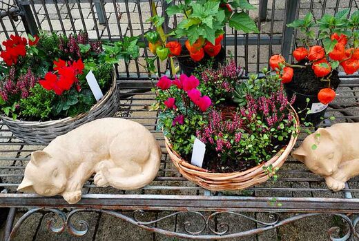 Bank mit Blumendeko © Frank Wollmann