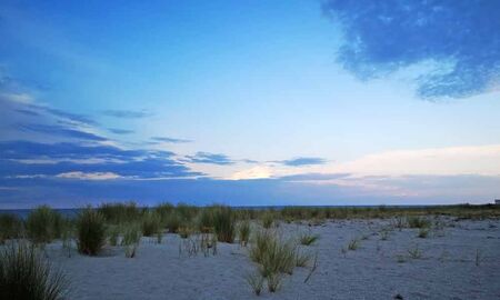 Dünen an der Ostsee © Frank Wollmann