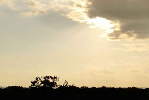 Sonnenlicht bricht durch Wolken über einer Baumsilhouette am Abendhimmel