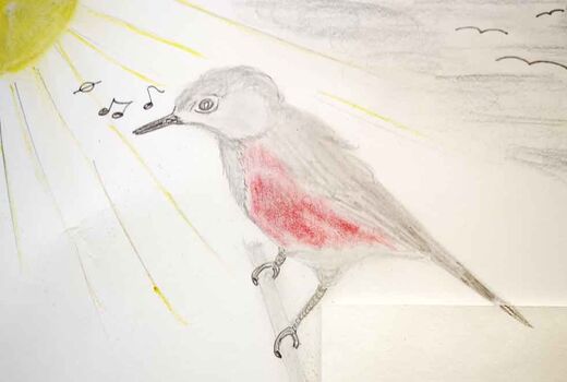 Zeichnung Singvogel © Frank Wollmann