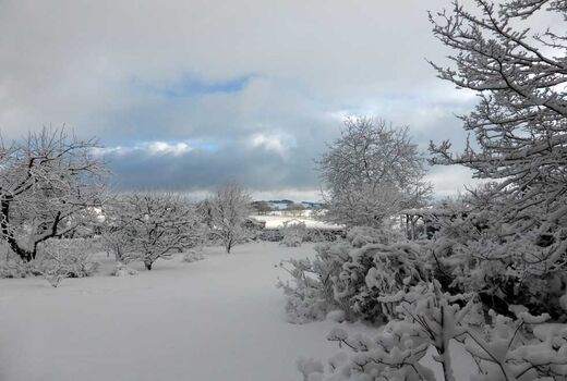 Schneelandschaft © Frank Wollmann