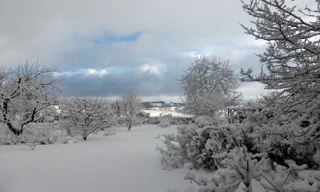 Schneelandschaft © Frank Wollmann