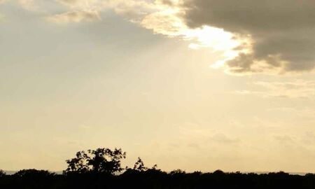 Sonnenlicht bricht durch Wolken über einer Baumsilhouette am Abendhimmel