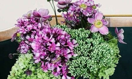 Bunter Blumenstrauß mit lila Anemonen, grüner Hortensie und Fetthenne in einer Vase