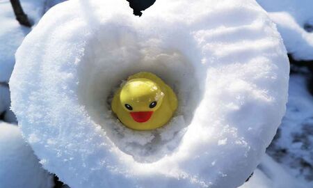 Gelbe Badeente sitzt in einem Herz aus Schnee © Frank Wollmann