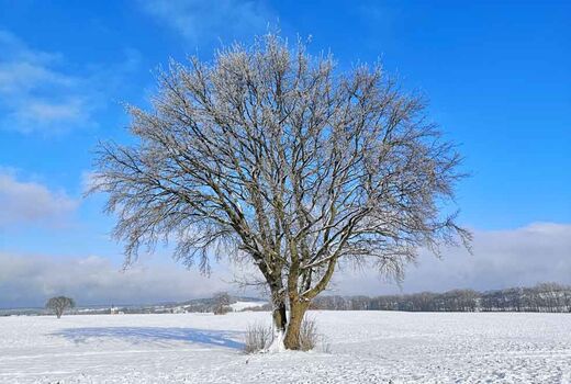 Winterlandschaft © Frank Wollmann