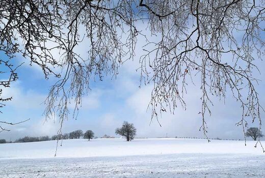 Winterlandschaft © Frank Wollmann